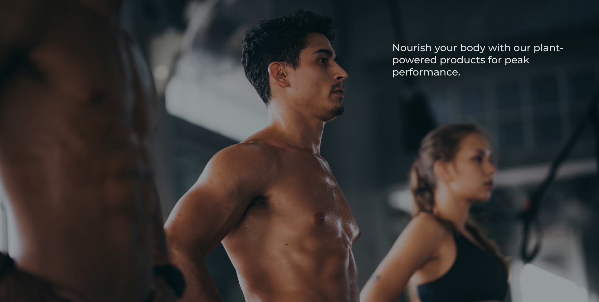 an image of fitness people at a gym